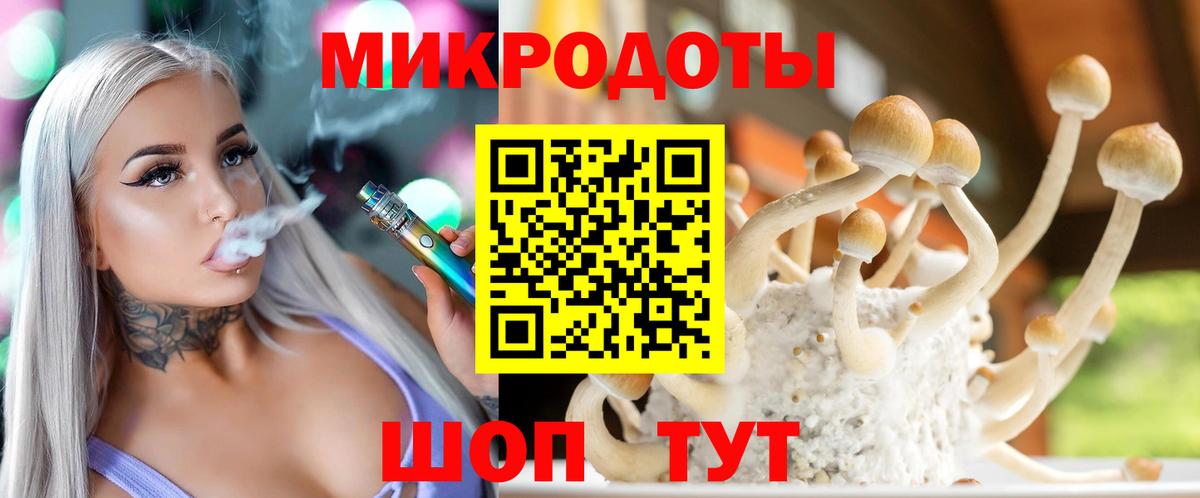 Псилоцибиновые грибы Psilocybine cubensis  продажа наркотиков  Стрежевой  Вход с VPN 